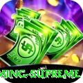 nn4 - Gaming Supreme